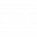 Fact